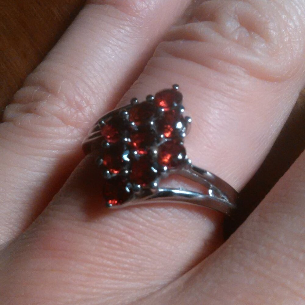 Mozambique Garnet Stainless Steel Ring (Size 7)